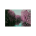 Фотоплівка LomoChrome Purple XR 100 -400 135 Фотоплівка LomoChrome Purple XR 100 -400 135
